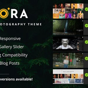 Acora - Photography WordPress Theme